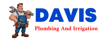 Trusted plumber in DU QUOIN